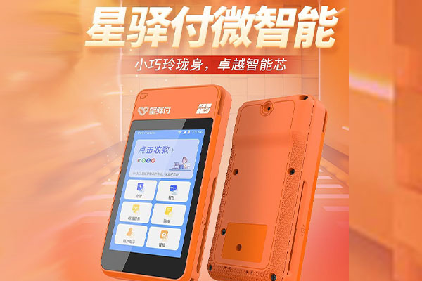 纳溪国通微电签POS机